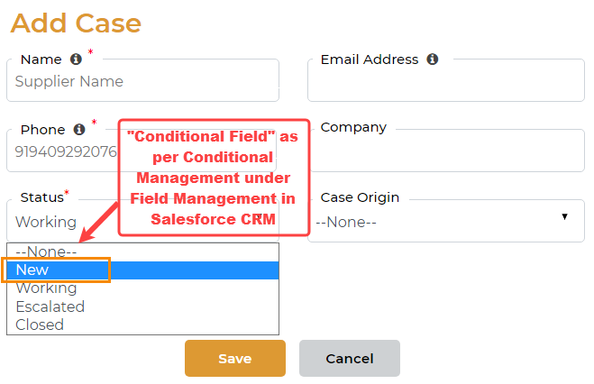 SalesfoceCRM Customer Portal Field Validation